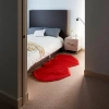 Red heart-shaped plush carpet for bedroom and living room decoration, soft and anti-slip for home use Specification image